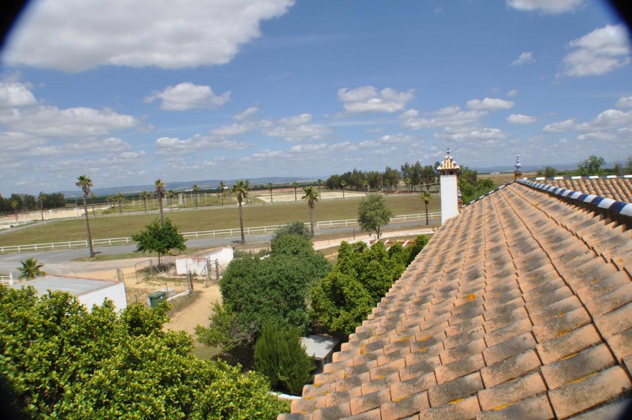 Cortijo La Amazona Villa Seville Ngoại thất bức ảnh